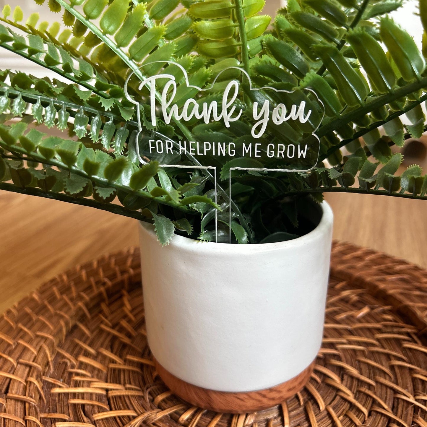 Teacher Plant Stakes, Teacher Appreciation, Teacher Gift, Thank You teacher, Plant Stakes