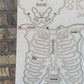 DIY Skeleton kit
